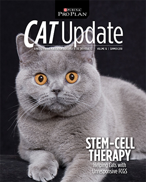 STEM-CELL THERAPY MAY HELP CAT