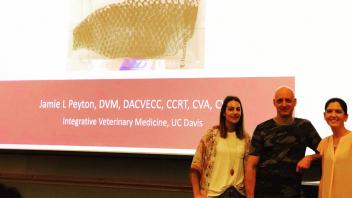 Dr. Jamie Peyton gave a special virc seminar on her novel use of tilapia skin for burn injury tissue healing. 